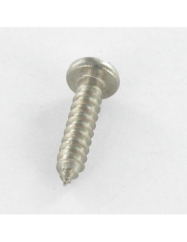 1 x Tornillo chapa Inoxidable A2 cabeza...