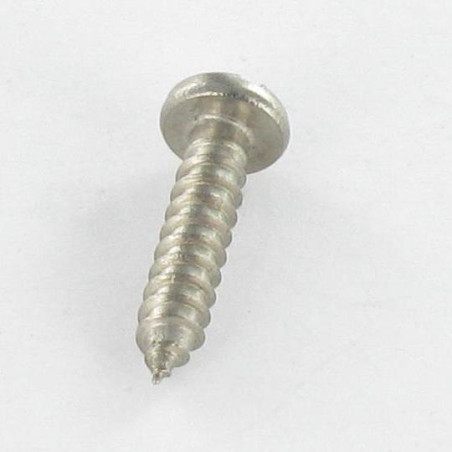 1 x Tornillo chapa Inoxidable A2 cabeza cilíndrica ranura 2.9X13