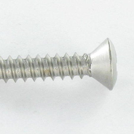 1 x Tornillo chapa Inoxidable A2 cabeza fresada abombada Pozi 4.8X45