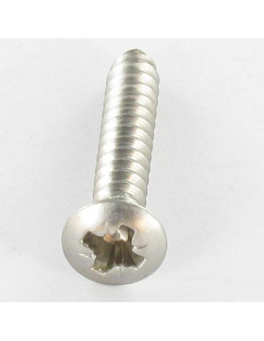 1 x Tornillo chapa Inoxidable A2 cabeza fresada...
