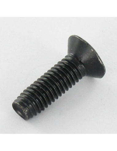 1 x Tornillo autorroscante cabeza fresada/testa...