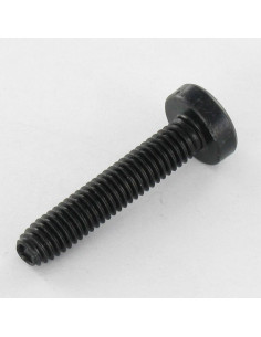 Tornillo autorroscante cabeza abovedada ancha M4X8 TORX... 2