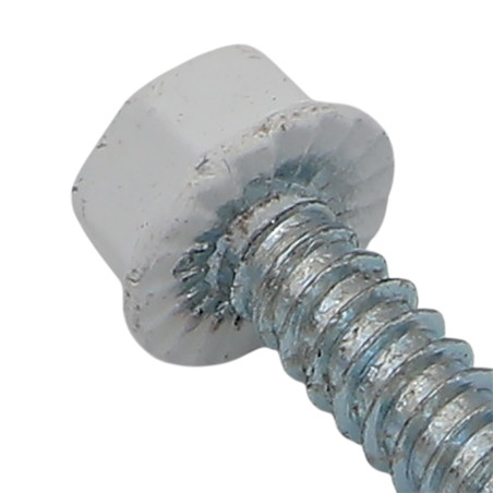1 x Tornillo autoperforante cabeza hexagonal 4.8X19 Acero cincado blanco lacado blanco RAL9010 blanco puro 80% BRIL