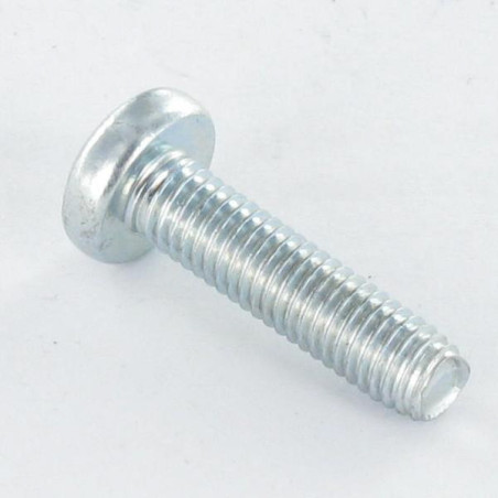 1 x Tornillo autorroscante cabeza abovedada ancha M3X20 TORX T10 Acero cincado blanco microtornillo