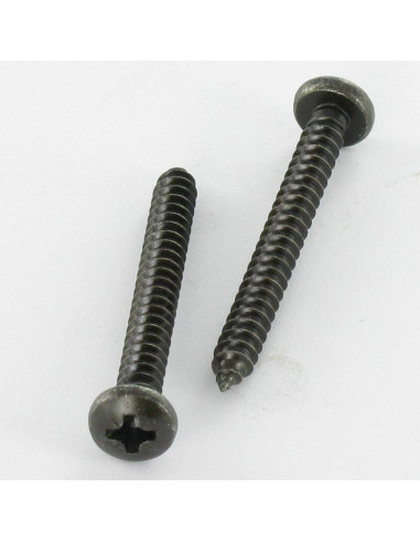 1 x Tornillo chapa Inoxidable A2 cabeza...