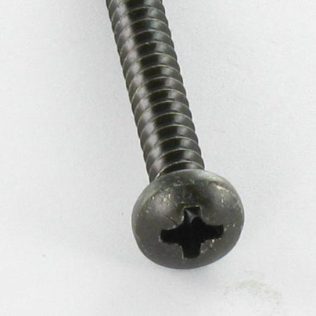 1 x Tornillo chapa Inoxidable A2 cabeza abovedada ancha Pozi 4.2X38 Negro