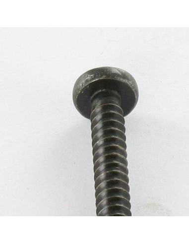 1 x Tornillo chapa Inoxidable A2 cabeza...
