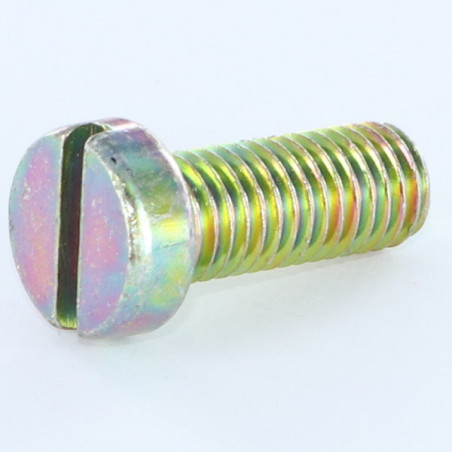 1 x Tornillo metales cabeza cilíndrica ranura M8X50 Bicromato