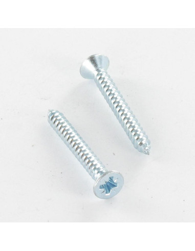 1 x Tornillo chapa cabeza fresada/testa svasat...