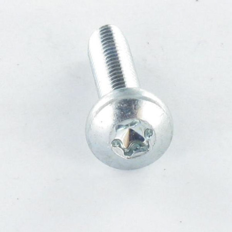 1 x Tornillo autorroscante cabeza abovedada ancha M4X35 TORX T20 Acero cincado blanco