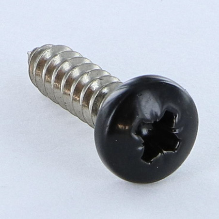 1 x Tornillo chapa Inoxidable A2 cabeza abovedada ancha Pozi 4.8X19 RAL9005 negro intenso