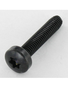 Tornillo autorroscante cabeza abovedada ancha M5X16 TORX...