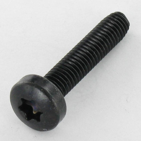 1 x Tornillo autorroscante cabeza abovedada ancha M5X16 TORX T25 Acero cincado negro