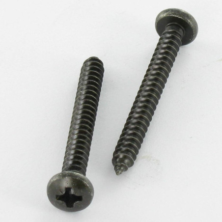1 x Tornillo chapa Inoxidable A2 cabeza abovedada ancha Pozi 4.8X25 Negro