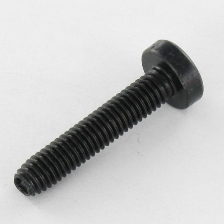 1 x Tornillo autorroscante cabeza abovedada ancha M5X16 TORX T25 Acero cincado negro