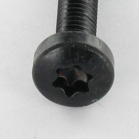 1 x Tornillo autorroscante cabeza abovedada ancha M5X16 TORX T25 Acero cincado negro
