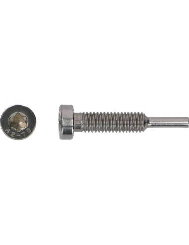 1 x Tornillo Alicates SOLAR M8X43 Inoxidable A2