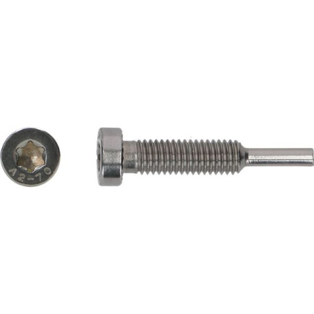 1 x Tornillo Alicates SOLAR M8X43 Inoxidable A2