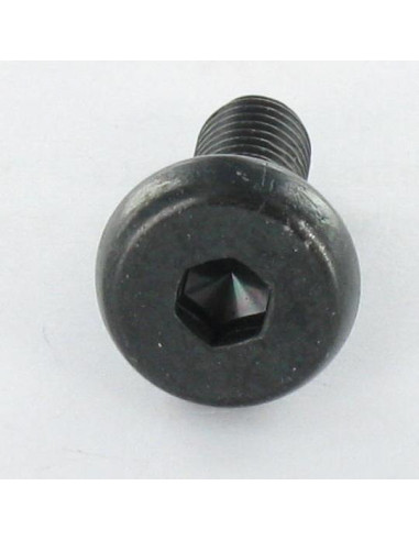 1 x Tornillo metales cabeza cilíndrica ancha...
