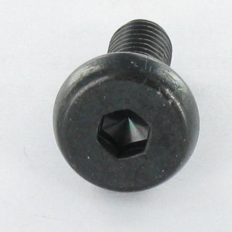 1 x Tornillo metales cabeza cilíndrica ancha hexagonal hueco M6X16.5 llave de 4 roscado total Acero cincado negro