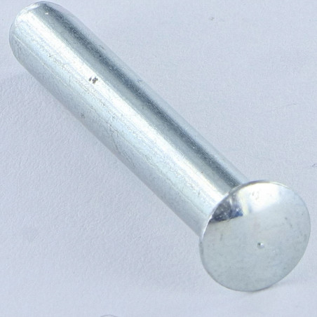 1 x Remache macizo cabeza bombeada 3,65 x 7,5 punta espiga Espiga Acero cincado blanco