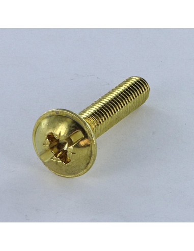 1 x Tornillo poelier cabeza redonda ancha Pozi...