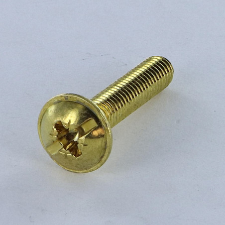 1 x Tornillo poelier cabeza redonda ancha Pozi ranura M6X14 Acero latonado