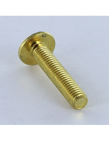 1 x Tornillo poelier cabeza redonda ancha Pozi...
