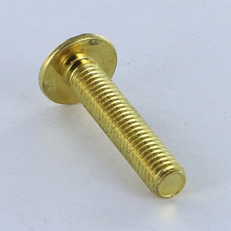1 x Tornillo poelier cabeza redonda ancha Pozi ranura M6X14 Acero latonado