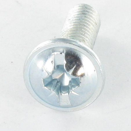 1 x Tornillo poelier cabeza redonda ancha Pozi ranura M6X20 Acero cincado blanco
