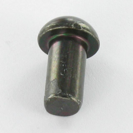 1 x Remache macizo cabeza redonda 6.5X12 Acero cincado negro