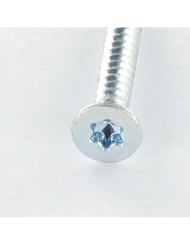 1 x Tornillo autoperforante cabeza...