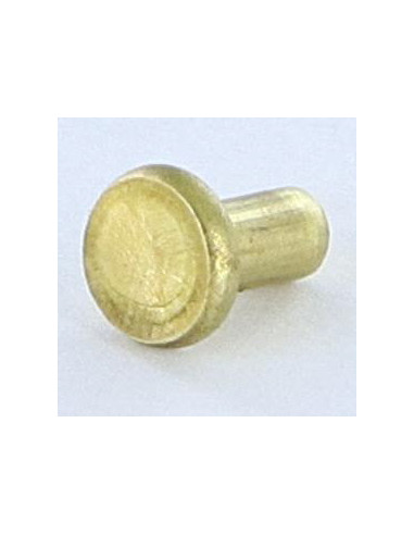 1 x Remache macizo cabeza plana 3X5.5 diámetro...
