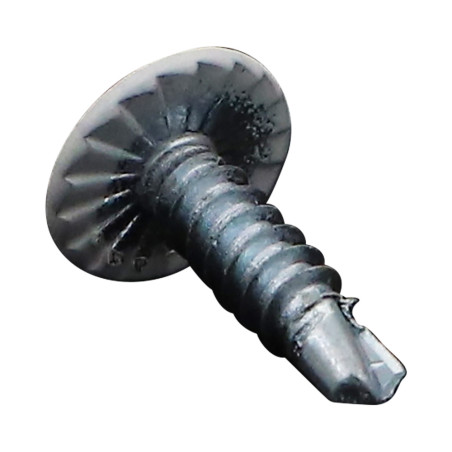 1 x Tornillo autoperforante cabeza redonda ancha phillips dentado 4.2X16 Acero cincado blanco RAL 9016