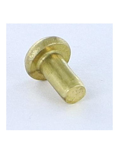 1 x Remache macizo cabeza plana 3X5.5 diámetro...