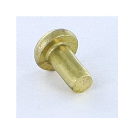 1 x Remache macizo cabeza plana 3X5.5 diámetro de cabeza: 5.5 EP1.3 Latón