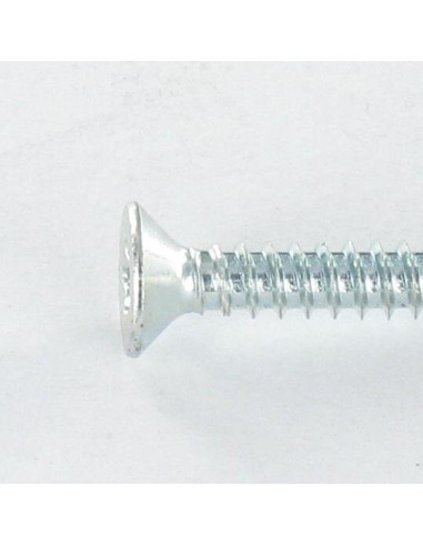 1 x Tornillo autoperforante cabeza...