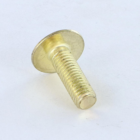 1 x Tornillo poelier cabeza redonda ancha ranura en cruz M8X16 Latón