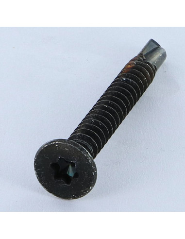 1 x Tornillo autoperforante cabeza...