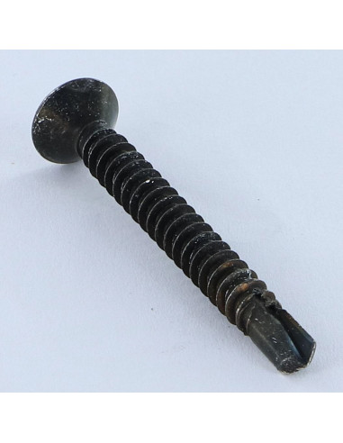 1 x Tornillo autoperforante cabeza...