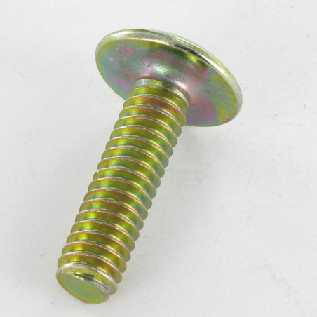 1 x Tornillo poelier cabeza redonda ancha ranura en cruz M6X80 Bicromato