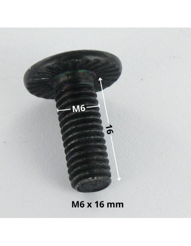 1 x Tornillo poelier cabeza redonda ancha llave...