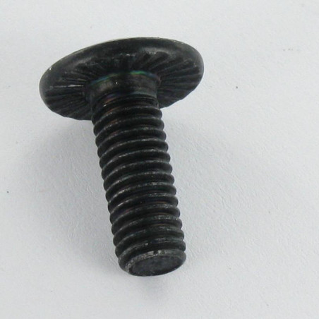 1 x Tornillo poelier cabeza redonda ancha llave de 4 M6X12 dentado ABAJO cabeza Acero cincado negro
