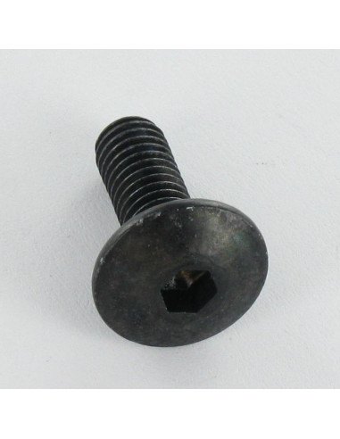 1 x Tornillo poelier cabeza redonda ancha llave...