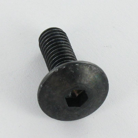 1 x Tornillo poelier cabeza redonda ancha llave de 4 M6X12 dentado ABAJO cabeza Acero cincado negro