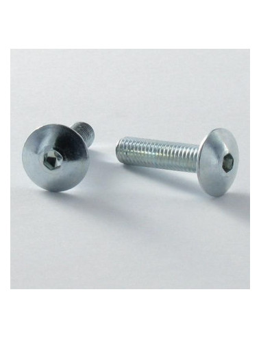 1 x Tornillo poelier cabeza redonda ancha llave...