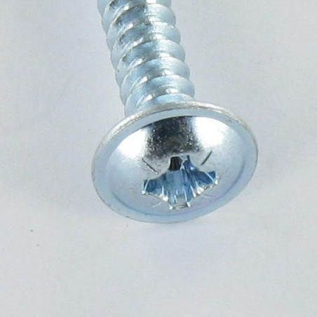 1 x Tornillo chapa poelier cabeza redonda ancha Pozi 4.2X19 Acero cincado blanco
