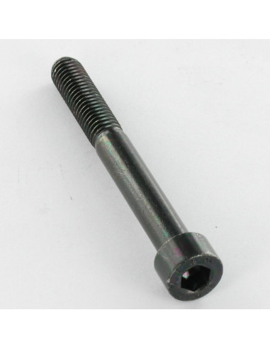 1 x Tornillo metales CHC BTR M12X100 roscado en...