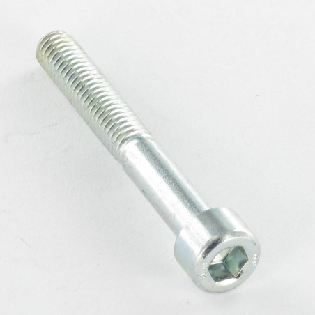 1 x Tornillo metales CHC BTR M4X55 roscado en 20 Clase 8.8 llave de 3 Acero cincado blanco