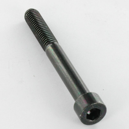 1 x Tornillo metales CHC BTR M5X25 Clase 8.8 llave de 4 Acero cincado negro